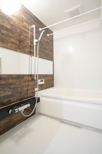 ヒメシャラ 303号-8