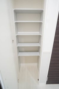 ヒメシャラ 303号-10