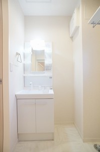 アメティスタ　Ⅰ 102号-8