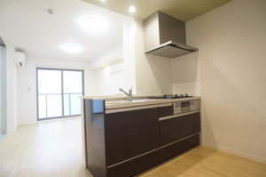 シャトーラフィネ 303号-2