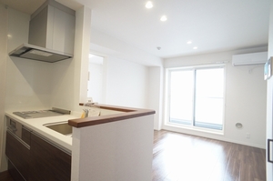 ＧＡＮＥＳＨ 203号-2