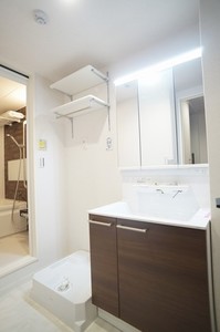 ＧＡＮＥＳＨ 203号-8