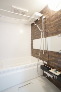 ＧＡＮＥＳＨ 203号-9