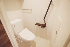 グランド　ホルン 303号-11