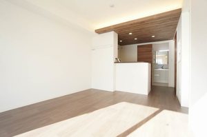 アメティスタ Ⅱ 103号-2