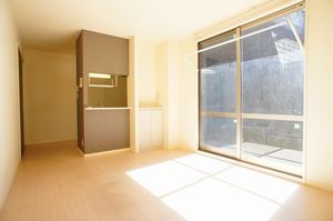 ライネスハイム 102号-3