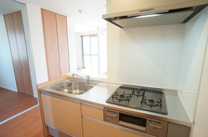 グランシャリオ 205号-7