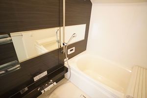 アマルフィ 301号-11