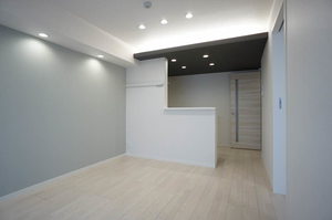 シャインフレア 102号-3