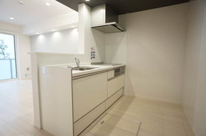 シャインフレア 102号-4