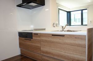 ディーノ 201号-3