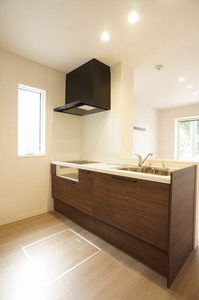 コリーナステラータ 101号-5