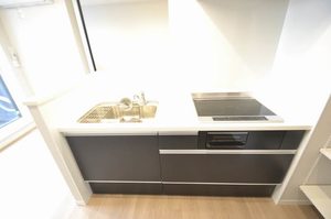 サン スプリング 203号-7