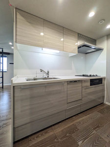 ホヌ プレミアス 401号-6