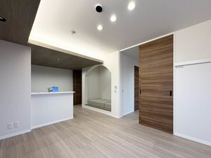 ピン　シャン 206号-3