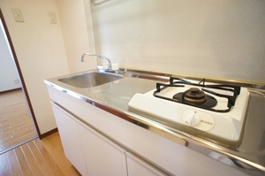 プルミエールⅡ 203号-5