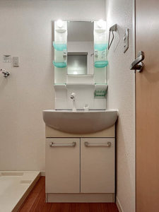 ルミエール鷺沼 102号-10