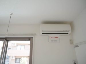 カシータ梶ヶ谷 206号-11