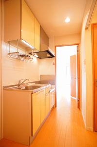 ＳＵＮ　ＬＥＡＶＥＳ　武蔵中原 205号-5