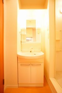 ＳＵＮ　ＬＥＡＶＥＳ　武蔵中原 205号-9