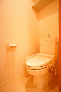 ＳＵＮ　ＬＥＡＶＥＳ　武蔵中原 205号-10