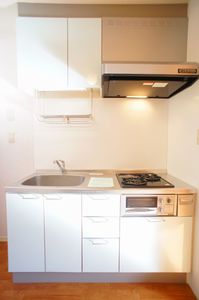 メイプルコート小杉 203号-5