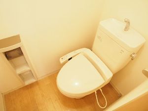 フェリスタⅡ 203号-10