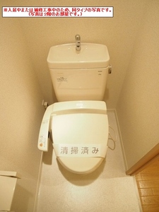 ライブタウン　Ⅴ 105号-11