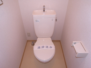 ルミエール 305号-10