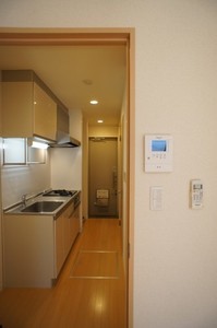 フェリーチェ川崎 101号-4