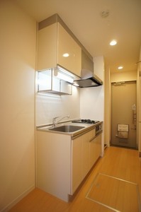 フェリーチェ川崎 101号-6