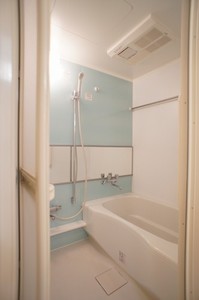 フェリーチェ川崎 101号-9