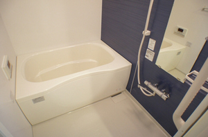 グランメゾン ブリエ 302号-8