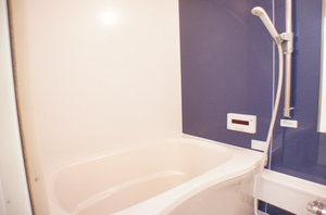 アルビオン高津Ｓｅｃｏｎｄ 105号-7