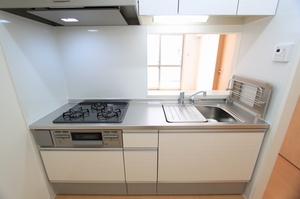 Apion 102号-6