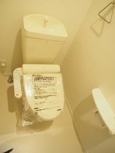 ラシーヌ中野島 301号-10