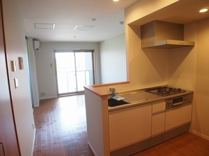 チェリーテラス武蔵新城 305号-2