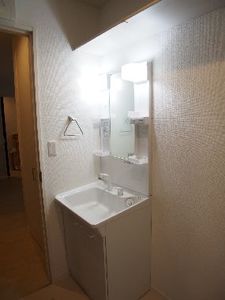 光彩D 101号-6