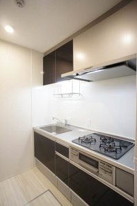 Ｐｌａｔａｎｕｓ 105号-7