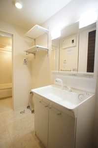 Ｐｌａｔａｎｕｓ 105号-8