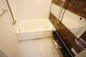 Ｐｌａｔａｎｕｓ 105号-9