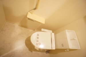 Ｐｌａｔａｎｕｓ 105号-10