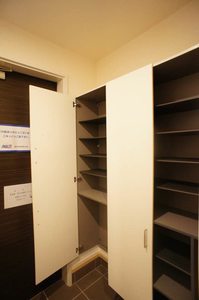 Ｐｌａｔａｎｕｓ 105号-11