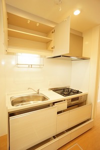 テラス　リーリエ 101号-6