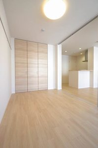 ミルティーユ武蔵新城 105号-3