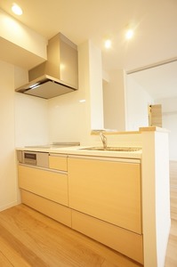 グランヴィラ宮前平 205号-9