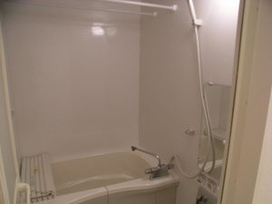 マストライフ川崎平間C 303号-11