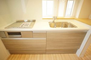 リベルタ溝口 203号-6