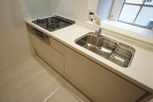 Ｇｒａｎｄｉｒ　小杉陣屋 101号-8