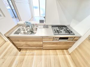 ゼフィール 102号-4